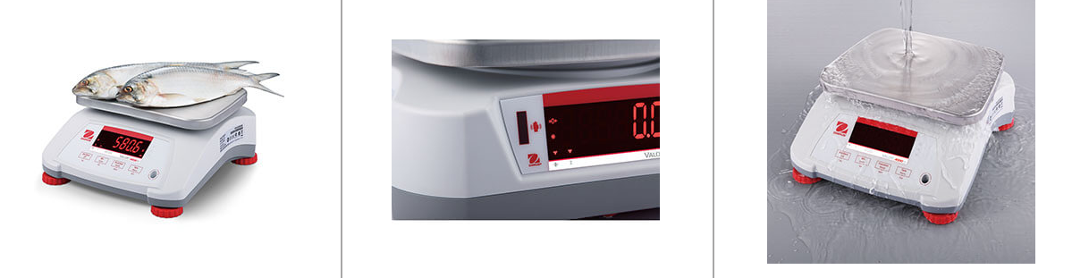 ohaus valor 4000 features